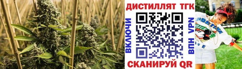Дистиллят ТГК вейп с тгк  Купить где  Игра 