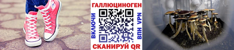 Псилоцибиновые грибы GOLDEN TEACHER Игра