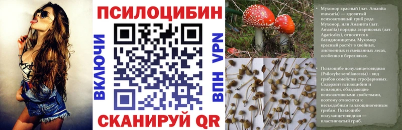 Купить закладки  Игра  Псилоцибиновые грибы MAGIC MUSHROOMS 